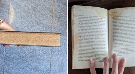 how to dust books: the art of preserving literary treasures